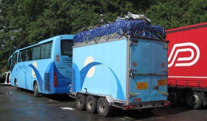 Marokko: 135 kilo drugs gevonden in bus op weg naar België