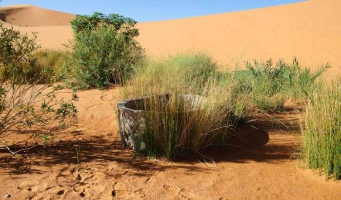 Dood Rayan: Saoedi-Arabië beveiligt duizenden waterputten 