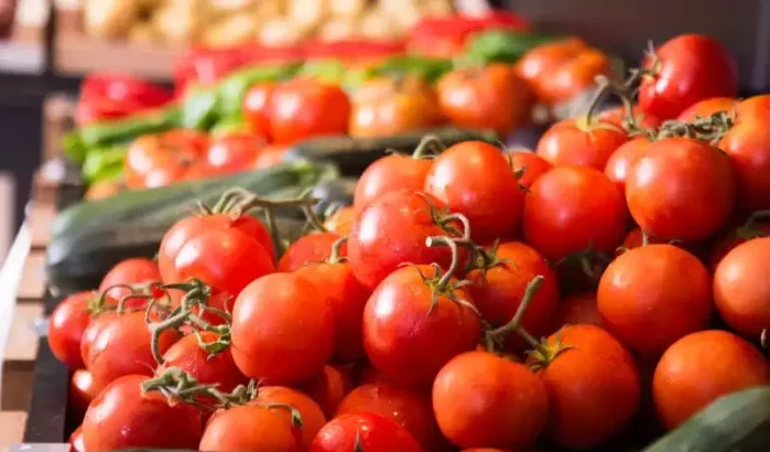 Marokkaanse tomaat: de nieuwe nachtmerrie van Europese producenten