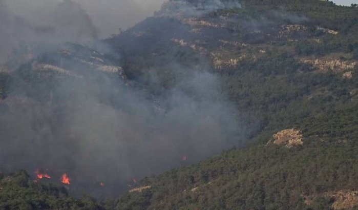 Zeven migranten gearresteerd voor brand Gourougou berg in Nador