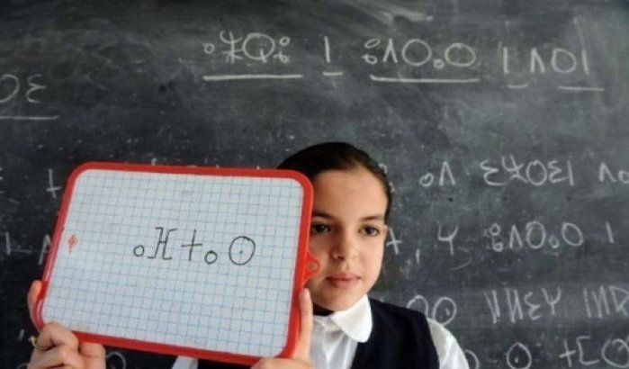 Meer kinderen naar school in Marokko dankzij onderwijs Amazigh 