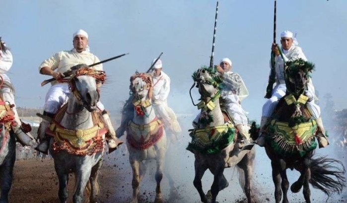 Ruiter doodgeschoten tijdens tbourida in Marokko