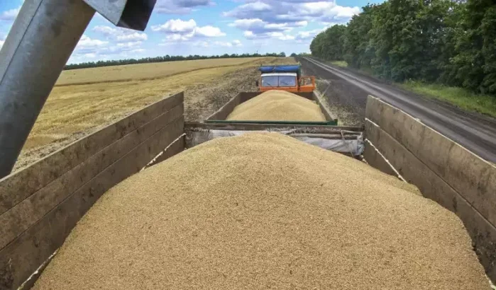 Marokko verwacht grote graanzending van Oekraïne