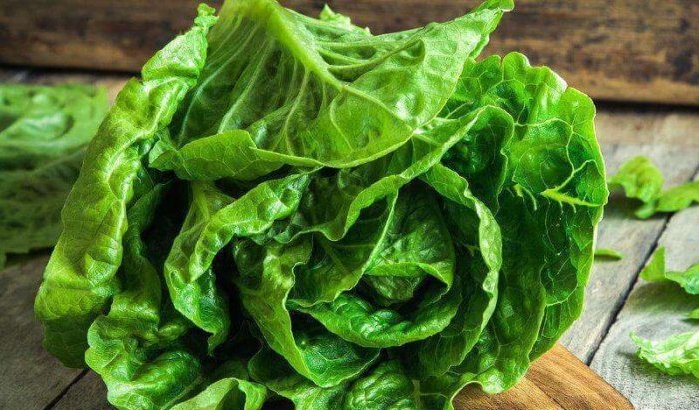 Frankrijk: 400 kilo Marokkaanse cannabis in sla gevonden