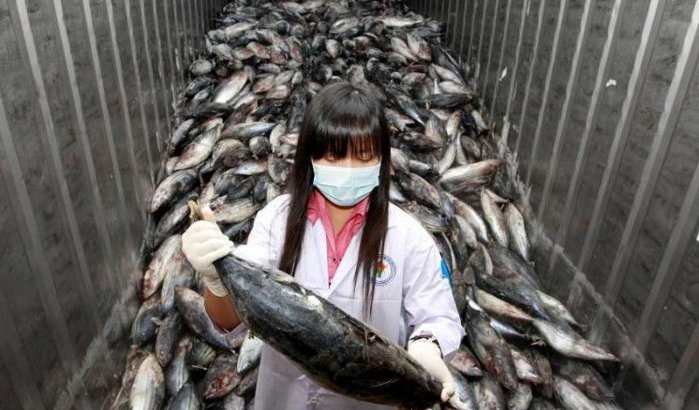 Radioactief vis uit China in Marokko verkocht