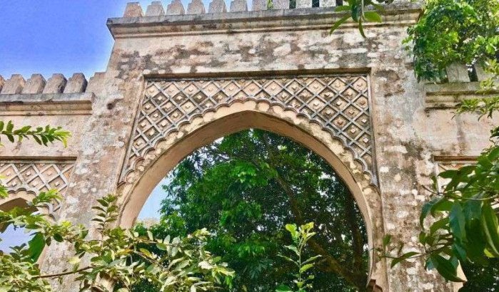 Oude Marokkaanse deur midden in Vietnamese woud (foto)
