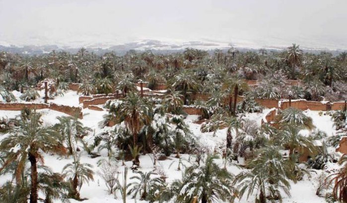 Marokko: sneeuw in de woestijn (video)