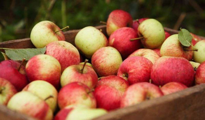 Rusland vernietigt ladingen valse Marokkaanse appels