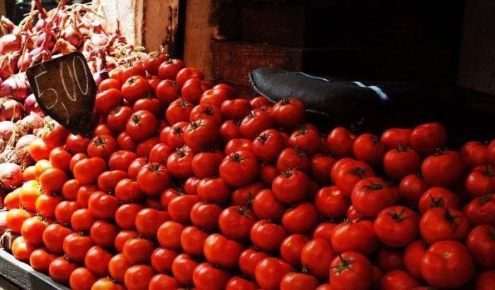 Vraag naar Marokkaanse groenten en fruit stijgt fors in Europa