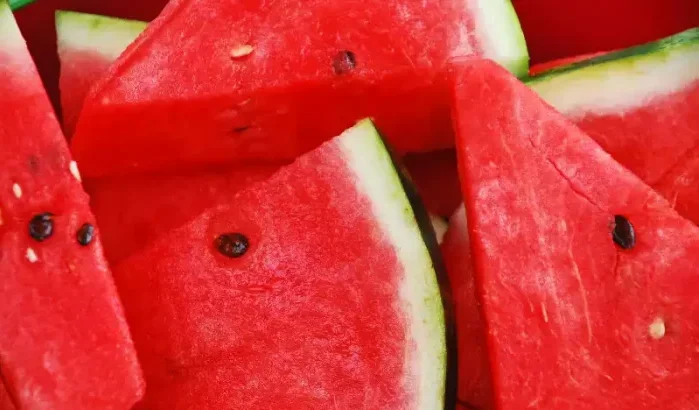 Spanje richt zich op pesticiden in strijd tegen invasie Marokkaanse watermeloenen