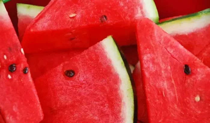 Spanje richt zich op pesticiden in strijd tegen invasie Marokkaanse watermeloenen
