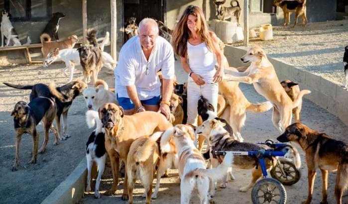 Tanger opent opnieuw jacht op zwerfhonden
