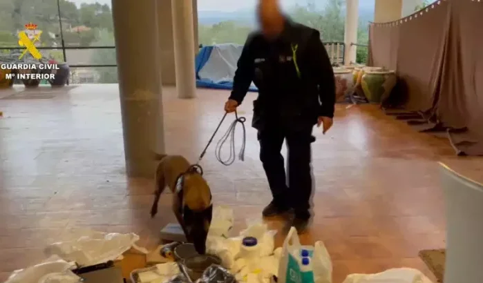 Spanje rolt criminele organisatie op dat Nederlandse cocaïne naar Marokko vervoerde