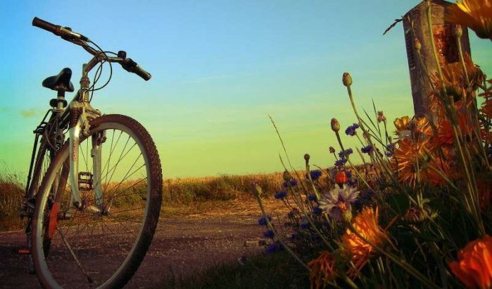 Tunesiër rijdt 5000 km met de fiets om liefde aan Marokkaanse te verklaren