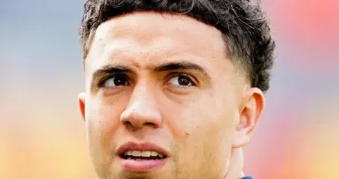 Neil El Aynaoui