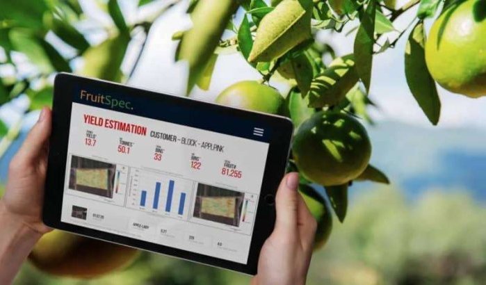 Israëlische bedrijf Fruitspec komt naar Marokko