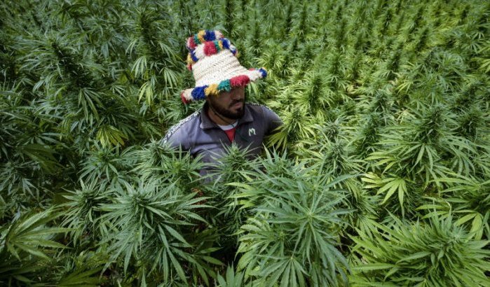 Marokko verscheept cannabis naar Australië