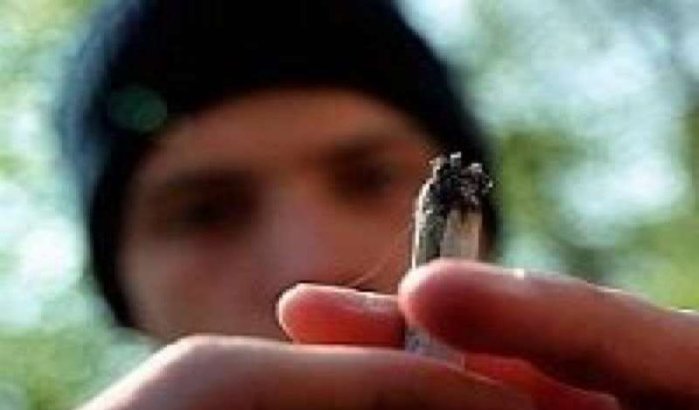 Marokkanen hebben cannabismarkt België in handen 