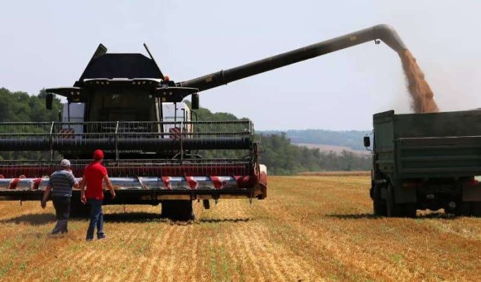 Maatregelen tegen tarwe in Rusland: moet Marokko zich zorgen maken?