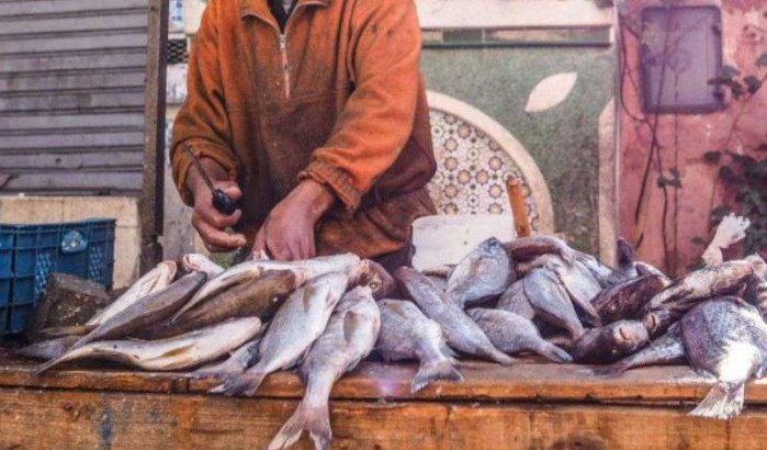 Ruim 300 kilo bedorven voedsel in beslag genomen in Taounate