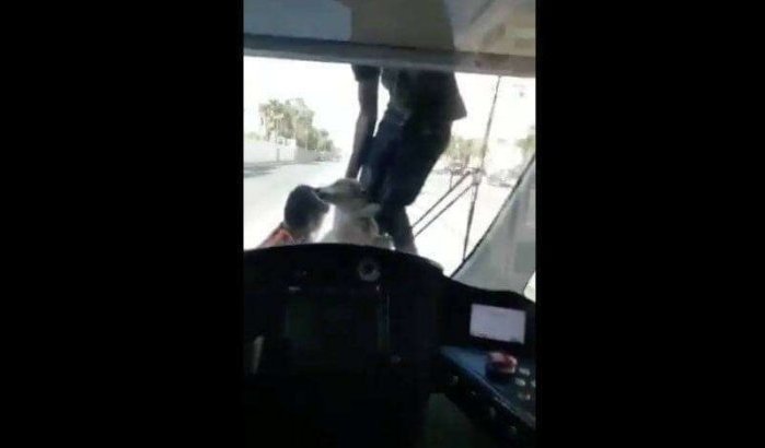 Marokko: kinderen hangen met hond aan tram (video)