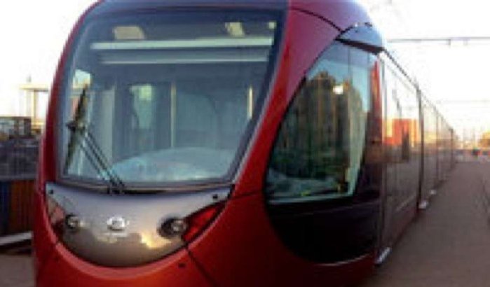 Koeien versperren weg tram Casablanca