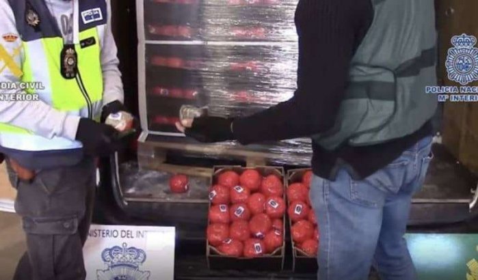 Malaga: 22 ton Marokkaanse hasj verstopt in nep-tomaten (video)