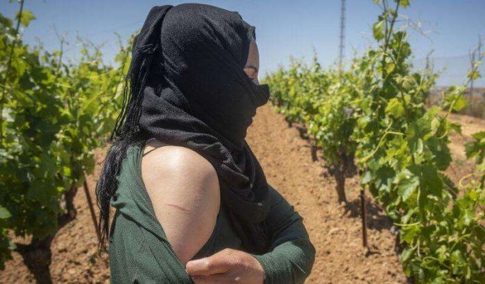 Marokkaanse seizoenarbeidster door werkgever aangerand in Spanje