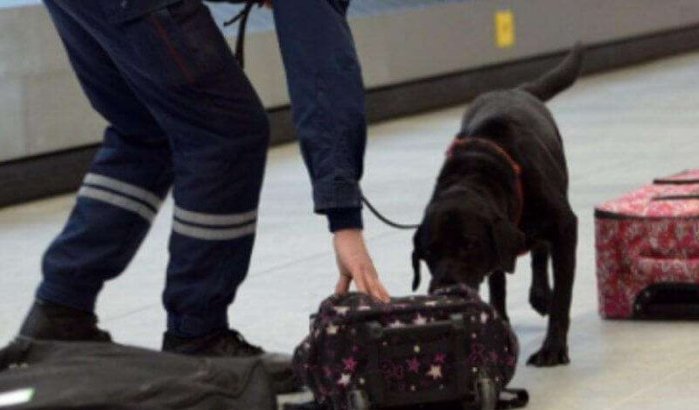 Marokko: Franse journaliste gearresteerd voor drugssmokkel