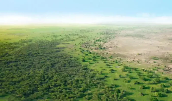 Onderzoekers onthullen mysteries Groene Sahara
