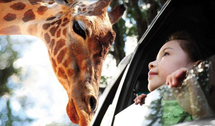 Agadir krijgt safaripark van 42 miljoen