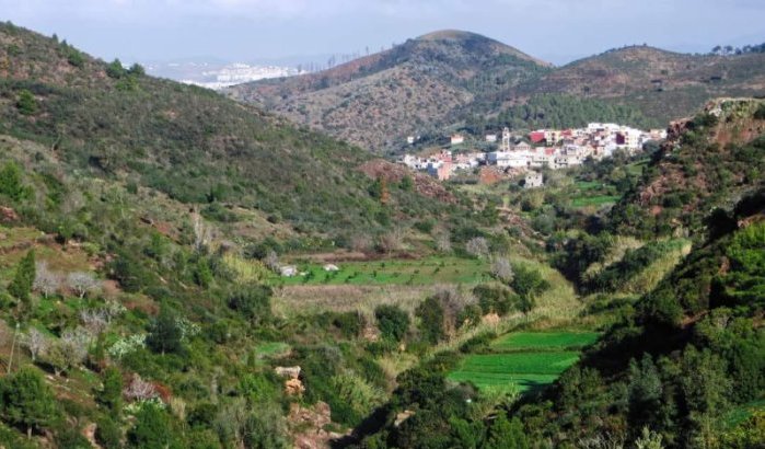 Machtige man in Tetouan kaapt bos en verkoopt het grond