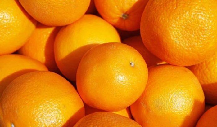 Marokkaanse warenautoriteiten reageert op pesticiden in sinaasappels