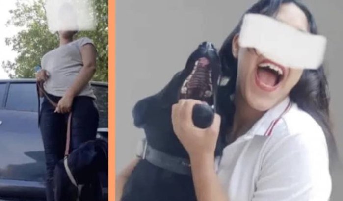 Juridische problemen voor baasje van hond die kat doodbeet in Fez