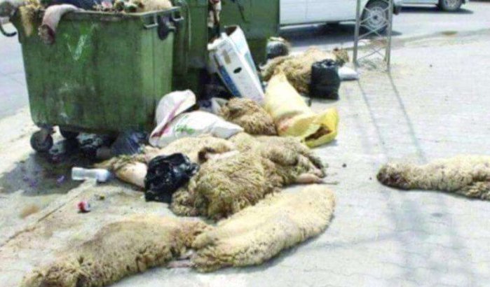 Marokko wil een "propere" Eid ul-Adha