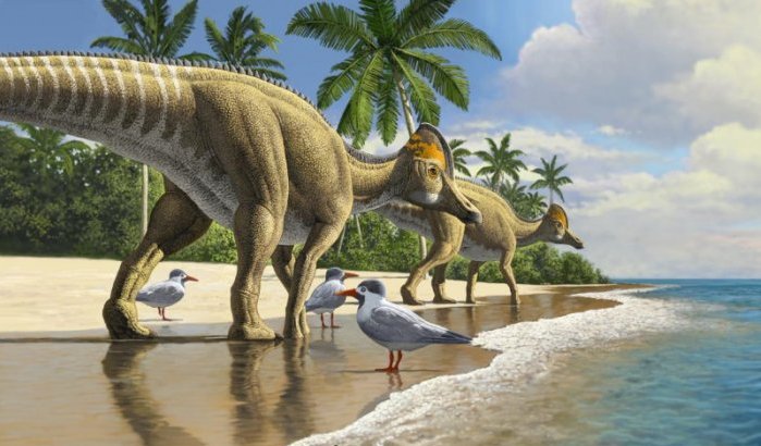 Nieuwe dwergdinosaurus ontdekt in Marokko