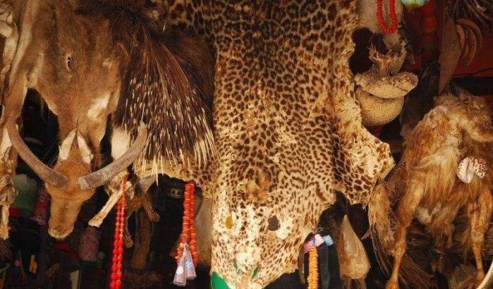 Hekserij en djinns: oplichting van 1,3 miljoen in Marokko