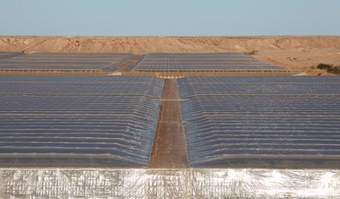 EU stemt nieuw handelsdeal met Marokko inclusief Sahara 