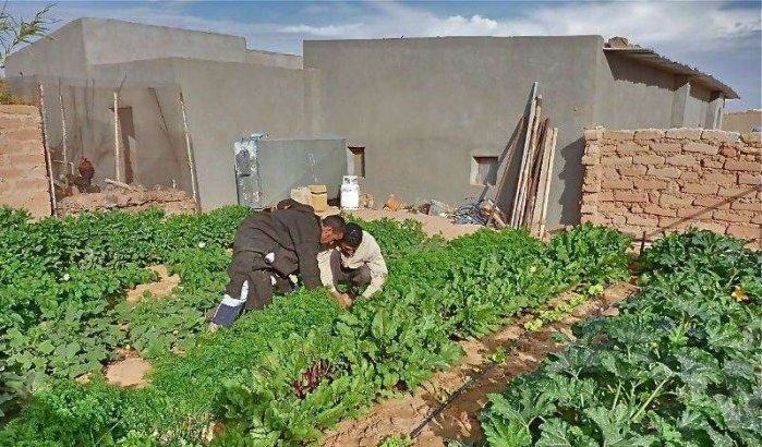 EU-Raad Buitenlandse Zaken keurt landbouwovereenkomst met Marokko inclusief Sahara goed
