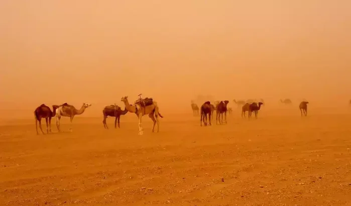 Nieuwe week met extreme temperaturen in Marokko (46 graden)