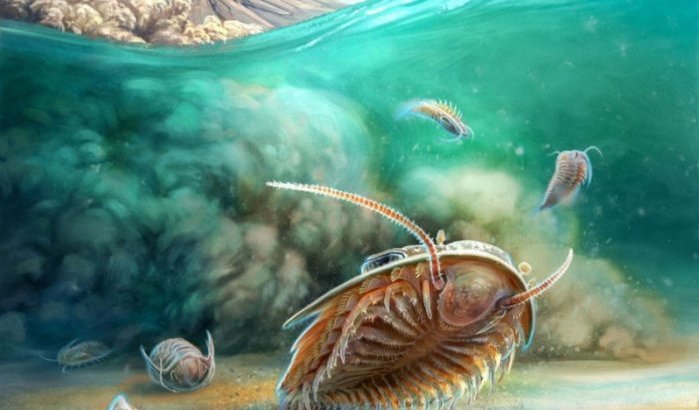 Marokko onthult 515 miljoen jaar oude "onderwater-Pompeï"