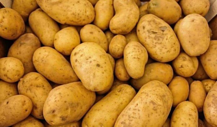 Marokko gaat landbouwproducten importeren
