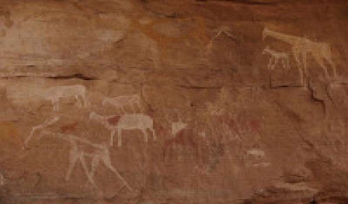 Casablanca krijgt prehistorisch park