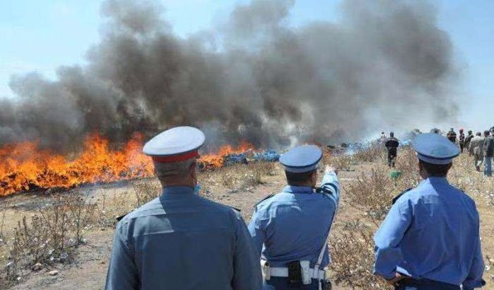 Ruim 4 ton drugs vernietigd in Laayoune