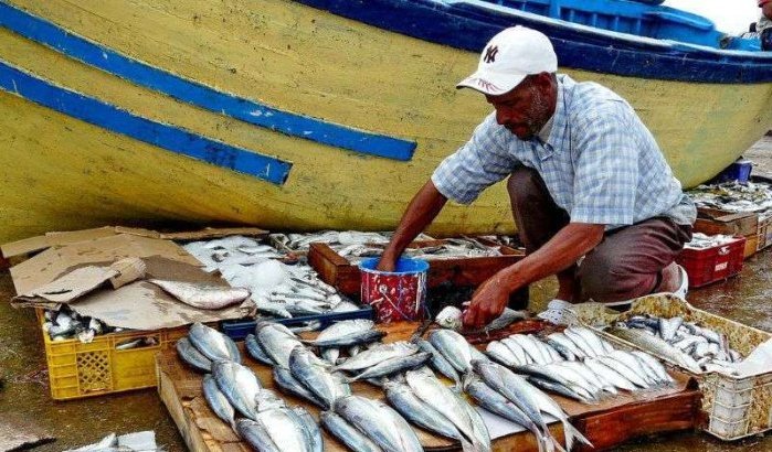 Jongeren opgepakt voor vernielen vislading in Tetouan (video)