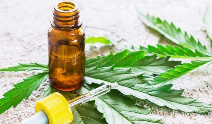 Cannabis: 86% Marokkanen voorstander van medisch gebruik