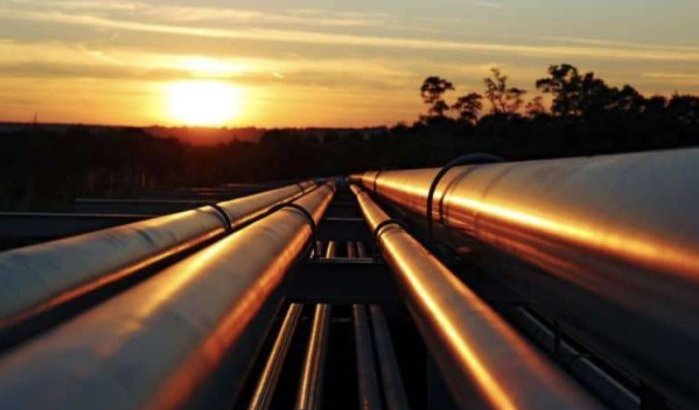 Stap verder in gaspijpleidingsproject Nigeria-Marokko