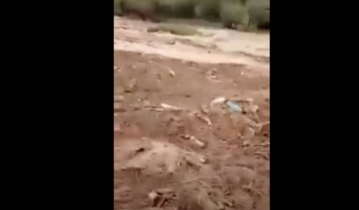 Taroudant onder water (video)