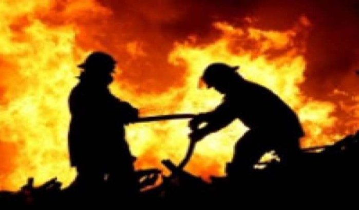 Ruim 450 hectare bos verwoest door brand in Marokko