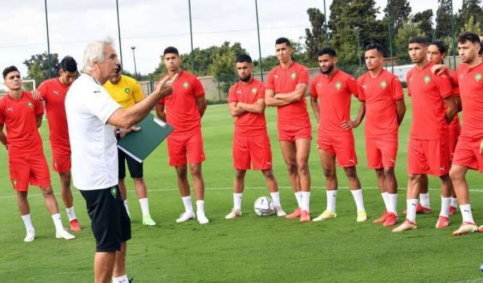 Vahid Halilhodzic wil Marokko kwalificeren voor WK